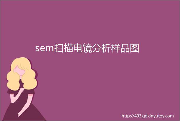 sem扫描电镜分析样品图